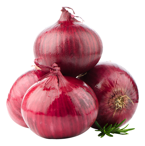 51-512246_transparent-background-red-onion-png-png-download-removebg-preview